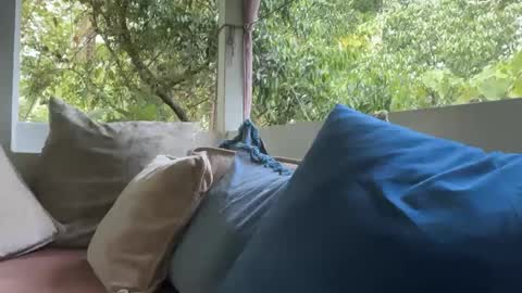 ivysagex online show from September 12, 1:17 am