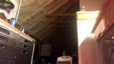 That  Guy  online show from January 28, 2:11 am