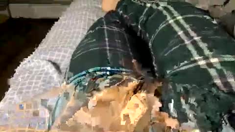 Jaaltar online show from December 3, 2:41 am