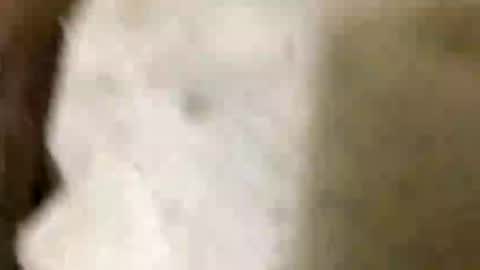 Jaaltar online show from January 8, 7:05 pm