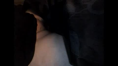 Snapshot of jaap08 chatting on December 3, 5:31 am speedy online show from December 3, 5:31 am