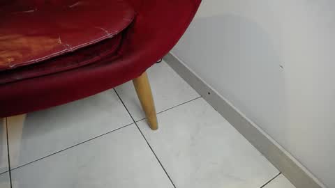 Jack Howards online show from March 8, 2:04 am