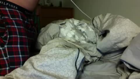 Jackbnibbled online show from February 4, 9:49 am