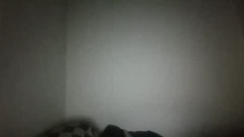 Snapshot of jacklack221 chatting on February 15, 4:47 am jack online show from February 15, 4:47 am