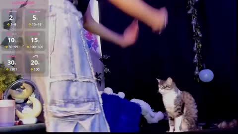 Jackson online show from February 13, 8:45 pm