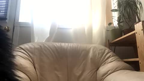 Jacob online show from February 24, 3:43 pm