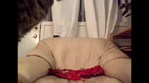 Snapshot of jacobmotes chatting on March 17, 12:37 am Jacob online show from March 17, 12:37 am
