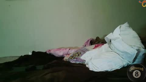 Jahweed online show from February 8, 12:08 pm