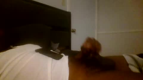 Snapshot of jamacianmehorny chatting on December 16, 3:19 am Jamacian online show from December 16, 3:19 am