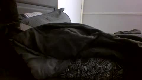 Snapshot of jamacianmehorny chatting on January 28, 10:12 pm Jamacian online show from January 28, 10:12 pm