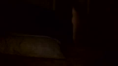 Snapshot of jamacianmehorny chatting on February 2, 5:59 pm Jamacian online show from February 2, 5:59 pm