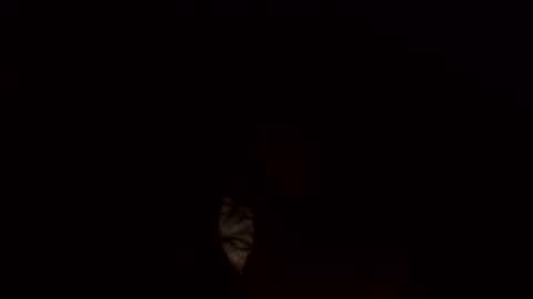 Snapshot of jamacianmehorny chatting on March 3, 10:17 am Jamacian online show from March 3, 10:17 am