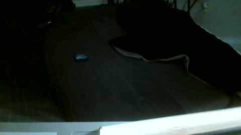 Snapshot of jamacianmehorny chatting on December 14, 8:13 pm Jamacian online show from December 14, 8:13 pm