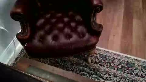 James Pembroke at your service online show from September 17, 7:15 pm