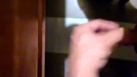 Snapshot of jammer chatting on August 4, 5:32 am jammer online show from August 4, 5:32 am