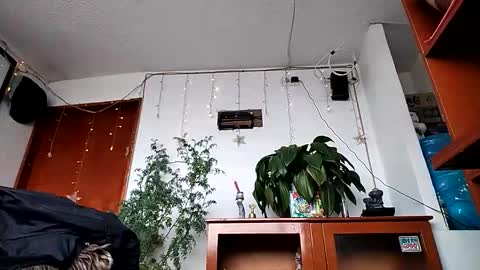 janariivera1 online show from February 11, 2:44 pm