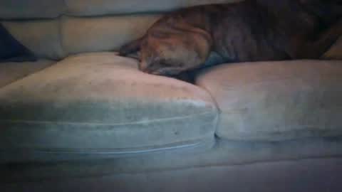 Snapshot of janks1963 chatting on September 21, 4:47 am janks1963 online show from September 21, 4:47 am