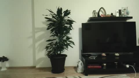 Snapshot of jaqueline88 chatting on November 29, 4:37 am jaqueline88 online show from November 29, 4:37 am