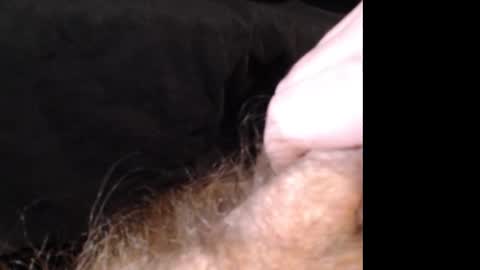 Jason online show from December 14, 2:53 pm