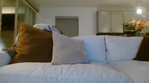 Jason Sweets online show from January 7, 3:09 am