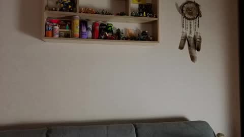 jastinpet online show from November 13, 7:13 pm