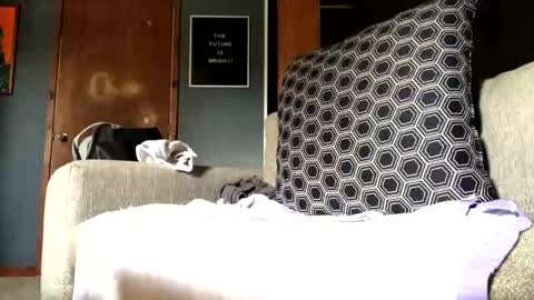 Snapshot of jawssharkparty chatting on September 10, 7:25 pm Jaws  online show from September 10, 7:25 pm