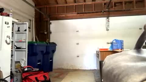 Snapshot of jawssharkparty chatting on September 12, 7:36 pm Jaws  online show from September 12, 7:36 pm