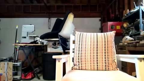 Snapshot of jawssharkparty chatting on October 14, 3:57 pm Jaws  online show from October 14, 3:57 pm