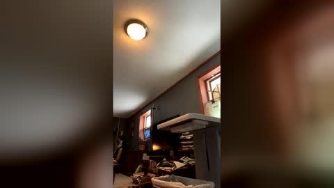 Snapshot of jawssharkparty chatting on January 17, 4:54 pm Jaws online show from January 17, 4:54 pm