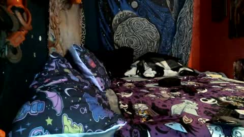 jaxxx666 online show from February 12, 10:46 am