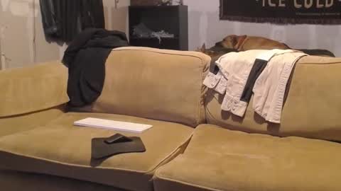 O F   jay short786 online show from February 19, 2:44 am