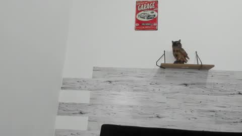 Jaycreedd online show from November 11, 4:56 am