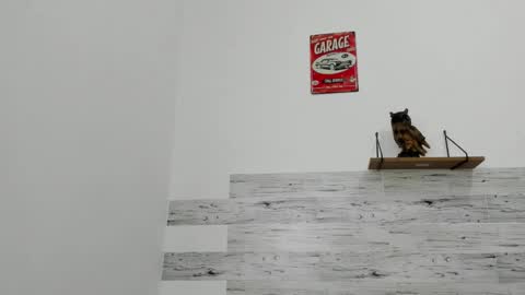 Jaycreedd online show from November 22, 3:22 pm