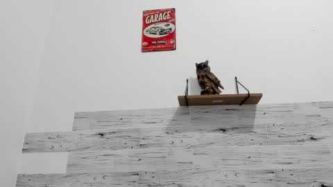 Jaycreedd online show from November 25, 2:11 am