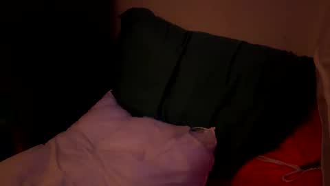 Jaysobricked online show from October 6, 11:40 am