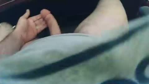 jd_pie online show from November 14, 3:05 am