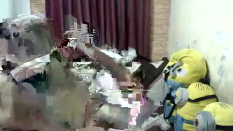 Snapshot of jdan81 chatting on September 28, 5:07 pm GorgeousCASSIE online show from September 28, 5:07 pm