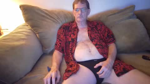 Bear in Massachusetts online show from September 27, 8:52 am