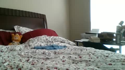 Snapshot of jennibean6996 chatting on September 30, 1:49 pm Jennibean6996 online show from September 30, 1:49 pm