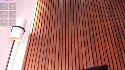     online show from February 6, 3:20 pm