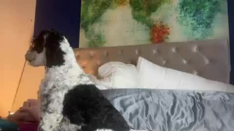 jenny1777 online show from June 21, 1:08 am
