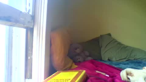 Jenn -  come to my onlyfans online show from April 17, 3:04 pm