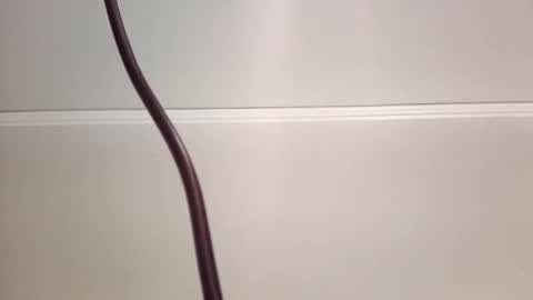 Snapshot of jeremymeyerprofessional chatting on May 28, 11:07 am jeremymeyerprofessional online show from May 28, 11:07 am