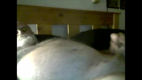 Snapshot of jerkmate6666 chatting on May 9, 3:56 am jerkmate6666 online show from May 9, 3:56 am