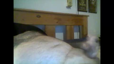 Snapshot of jerkmate6666 chatting on May 15, 12:50 am jerkmate6666 online show from May 15, 12:50 am