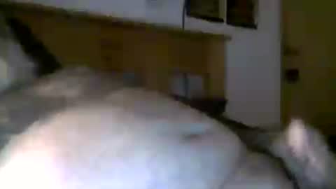 Snapshot of jerkmate6666 chatting on August 4, 8:39 am jerkmate6666 online show from August 4, 8:39 am