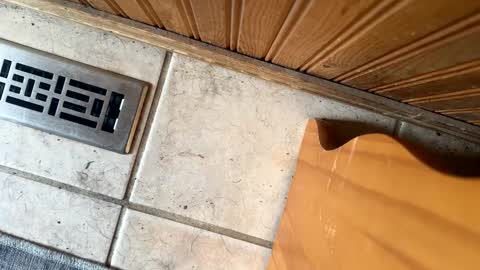 Snapshot of jerswill chatting on September 19, 6:30 pm Jeremys room chill and puff one enjoy online show from September 19, 6:30 pm