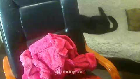 Snapshot of jessjess4you chatting on February 2, 6:04 am jessjess4you online show from February 2, 6:04 am