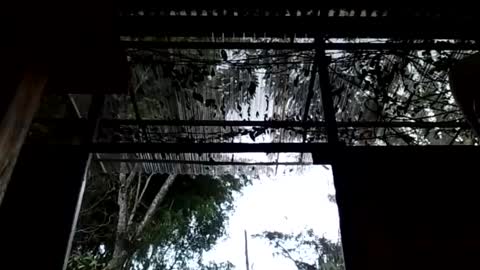 jesuyave online show from April 19, 5:45 pm