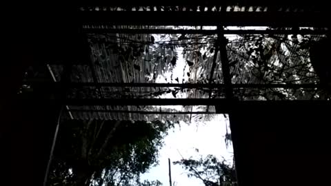 jesuyave online show from April 19, 6:10 pm